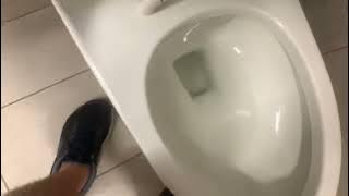 Extremely Rare Kohler San Souci Toilet