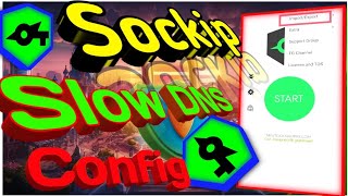 How to Setting Up Slow DNS with SOCKS IP Tunnel VPN screenshot 5