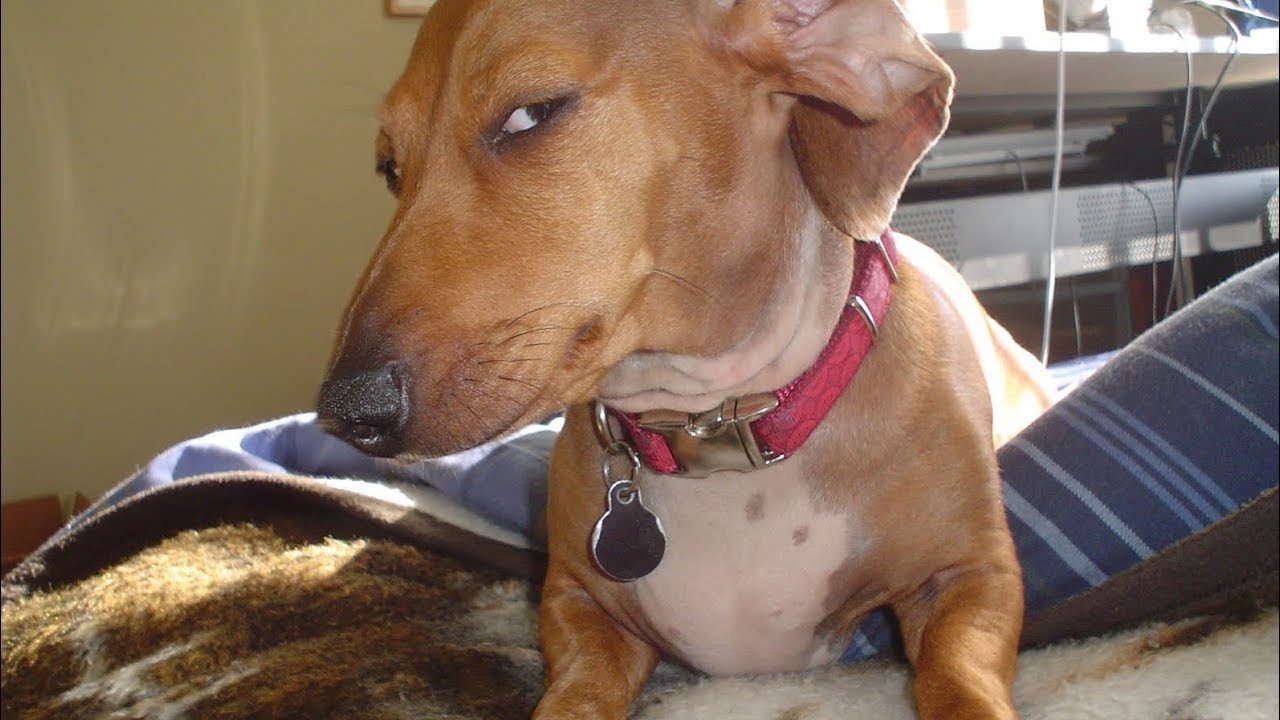 Depot plat (trash time trial) || PARKOUR REBORN 1.71