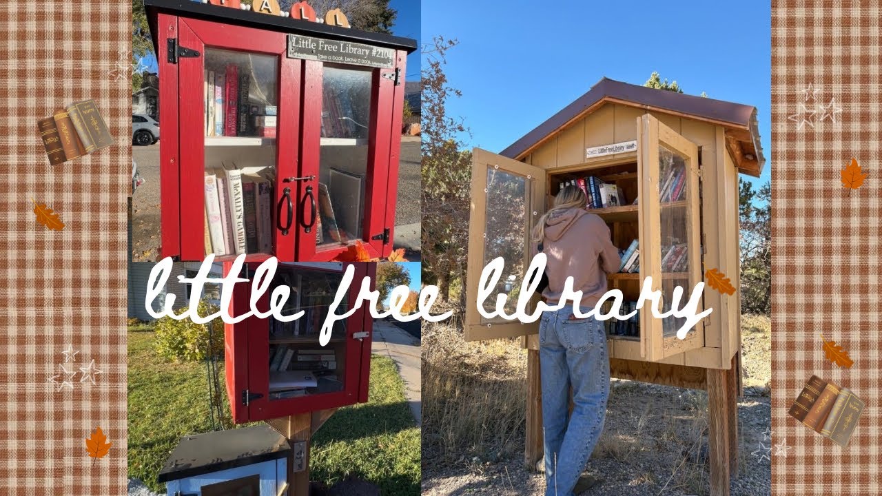 a very chill little free library 