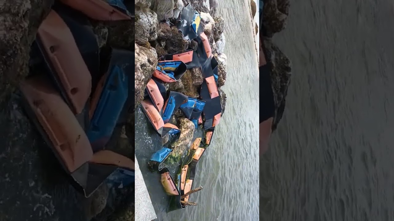 Belize environment #1 Class 1-3 2024