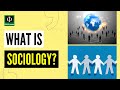 Unraveling Human Connections Through Sociology
