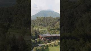 Must see travel destination: Rwanda! Inside the beautiful One&Only Gorillas Nest