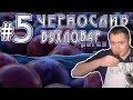 Слива и чернослив. Сливовые настойки от Бухловара