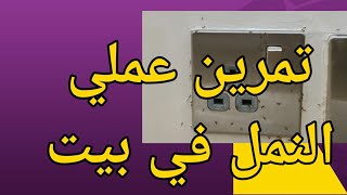 تمرين عملي (مكافحة النمل)  داخل بيت / Ant control / crawling insects