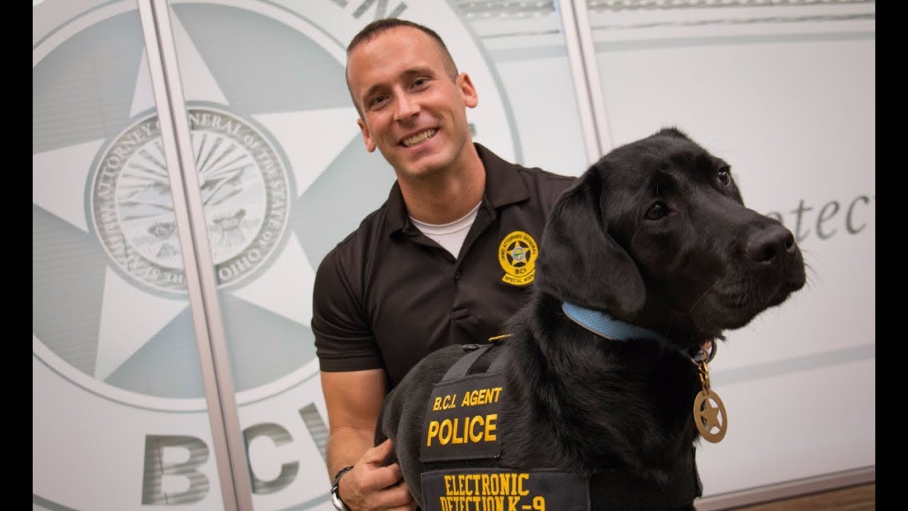 New K9 named "Reptar" sniffs out electronics to help solve crimes