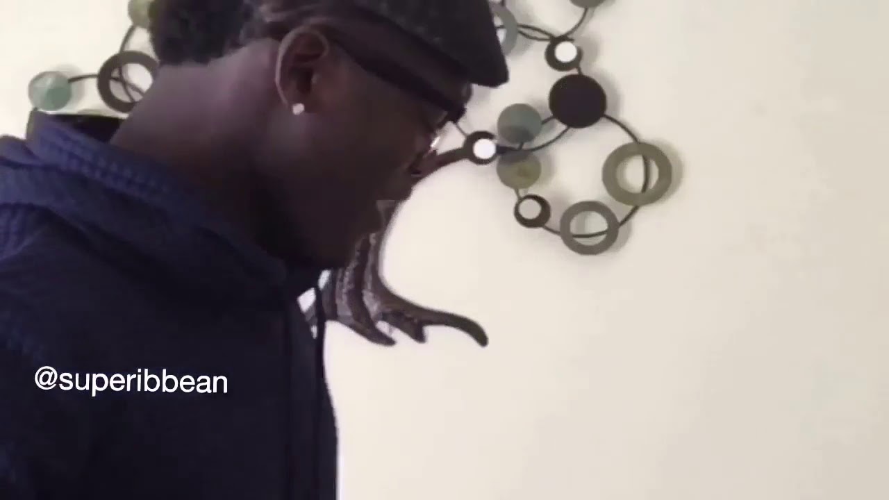 Meaning of the word skunt