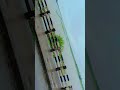 shortvideos#trending #relaweyworkvlog#shorts