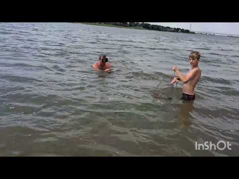 Рыбалка в Астрахани 15.07.2023 огромные сазаны, сомы и вкусные раки ! Удивительный июль