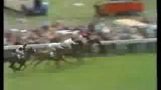 Mill Reef - 1971 Derby