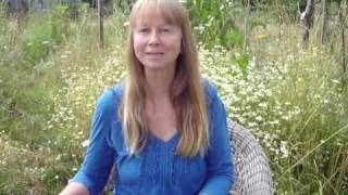 Colony Collapse Disorder Bee Stress