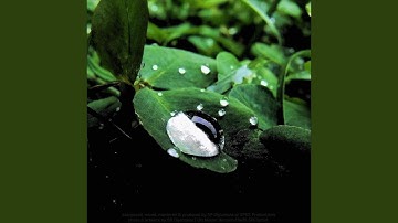 OT03 Overtrap Thunderground [UHMV]