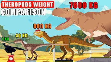 Theropods Dinosaurs Weight Comparison