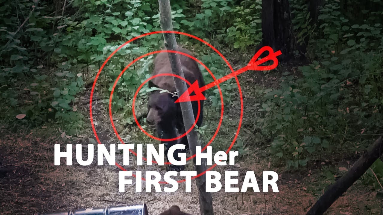 The Woods Are Alive: Manitoba Bear - S2E01