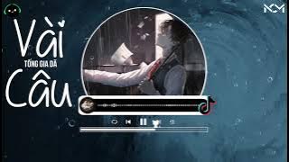 [Vietsub] Hai Ba Câu - Tống Giai Dã | 兩三句 - 宋佳野 | Liang San Ju - Song Jia Ye ♪【動態歌詞MV】♪