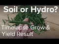 Soil Vs Hydro Yield Result and Timelapse Video