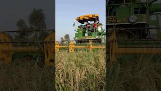 Harvester Dhaan Cutting Up