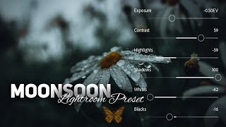 Monsoon Photography Preset | Rainy Season Lightroom Preset | #shorts screenshot 5