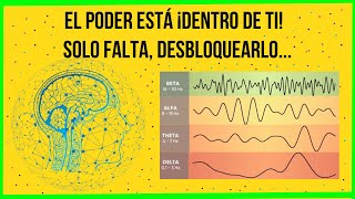 ¿Qué son las ondas cerebrales y para que sirve cada una de ellas?