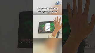 VP930Pro Palm Vein Recognition Demo | Fast & Secure