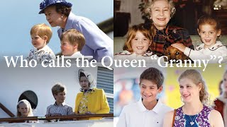 Queen Elizabeth II's Grandchildren