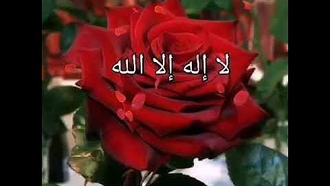 أَفَحسبتم إنما خلقناكم عبثاً وانكم إلينا لاترجعون 🌷سورة المؤمنون بصوت الشيخ ماهر المعيقلي 🌷