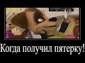 МУД БАРБОСКИНЫ ДЕМОТИВАТОР 113