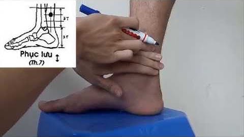 Xác định huyệt vùng chi dưới - CTUMP - YHCT khóa 41