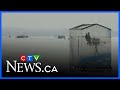 Ice fishers hitting the ice on Lake Simcoe