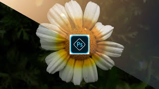 How to Edit Dark Moody | Flower Photo Editing | Photoshop Express Tutorial Lens distortions | screenshot 4