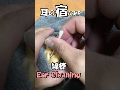 【ASMR】綿棒でごりごり耳かき Ear cleaning【No Talking】#shorts #睡眠導入 #耳かき #asmr