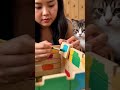 A petlover girl make a House for her pets. #subscribe #shorts #viralstory #aimodel #ai