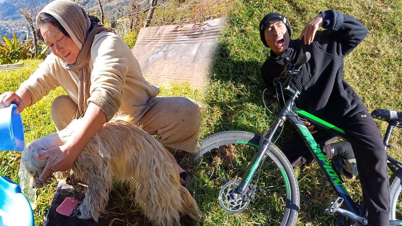 My Village Vlog Ep.5 | Crashed Gear Cycle