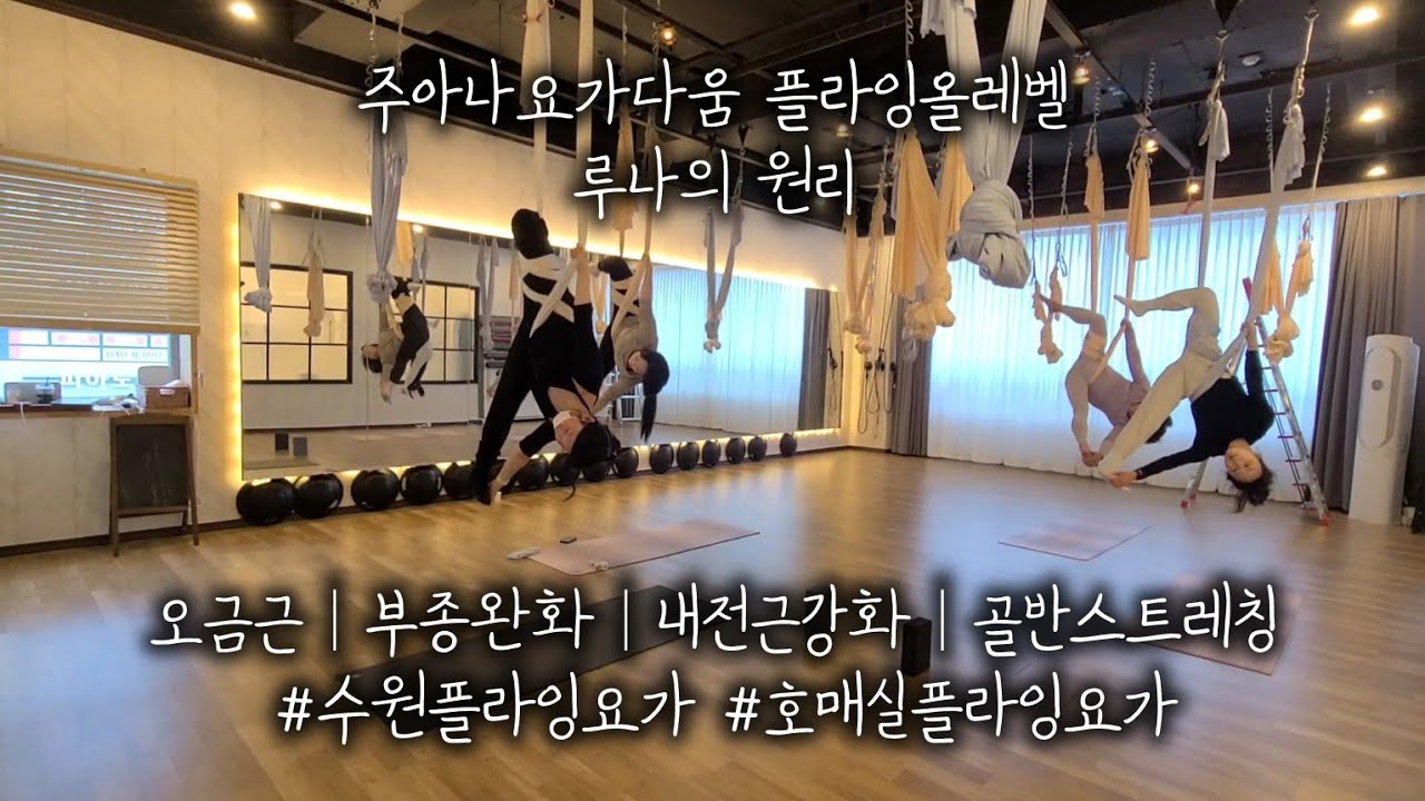 주아나요가다움 플라잉올레벨 루나의 원리 : 오금근│부종완화│내전근강화│골반스트레칭 #수원플라잉요가 #호매실플라잉요가