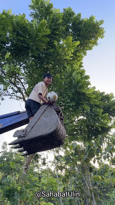 CARA AMBIL BOLA YANG NYANGKUT DI POHON