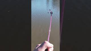 How to catch a carp on a kids pole @BNOOutdoors
