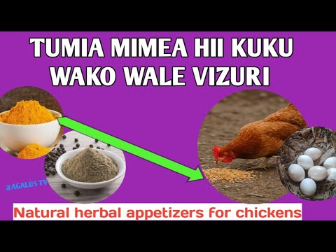 MIMEA 7 INAYOONGEZA HAMU YA KULA KWA KUKU Natural Herbal Appetizers For Chickens