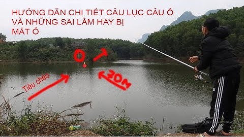 Hướng Dẫn Câu Lục Câu Ổ Chi Tiết Tránh Bị Mất Ổ