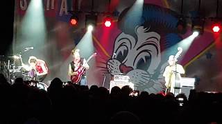 The Stray Cats - Misirlou (Live in Birmingham, 23.6.19)