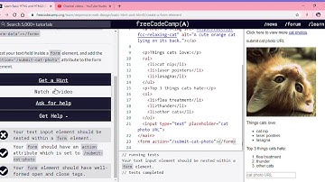 Learn Basic HTML and HTML5  Create a Form Element   freeCodeCamp org   Google Chrome 2019 12 11 15 4