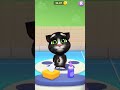 Mr funny tom!#shortvideo #catvideos #careeradvice #treatment #entertainment