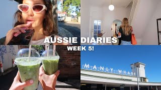 AUSSIE VLOG 🦩 peculiar birds, apartment hunting, brunch & more