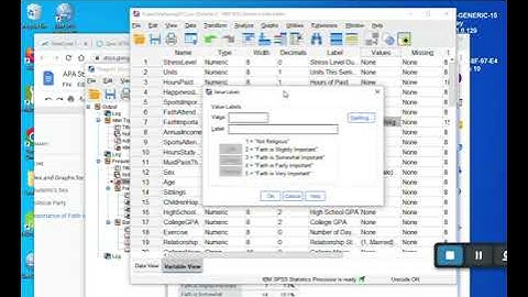 Class Assignment: Nominal and Ordinal Variables (SPSS & APA Style)