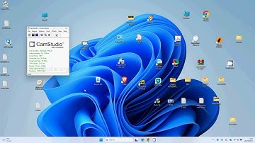 CamStudio recorder  https://camstudio.org  (settings)
