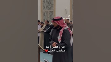 ما تيسر من سوره الرحمن | القارئ الشيخ أحمد عبدالعزيز النفيس #القرآن_الكريم #احمد_النفيس #سورة_الرحمن