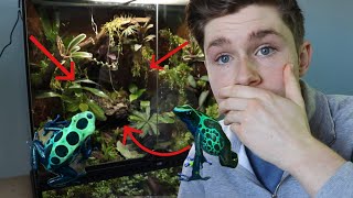 Bioactive Dart Frog Setup Tutorial || Step by Step