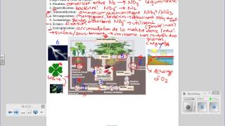 2015 05 28 Bio 20 F Lecon D7 Azote Phosphore