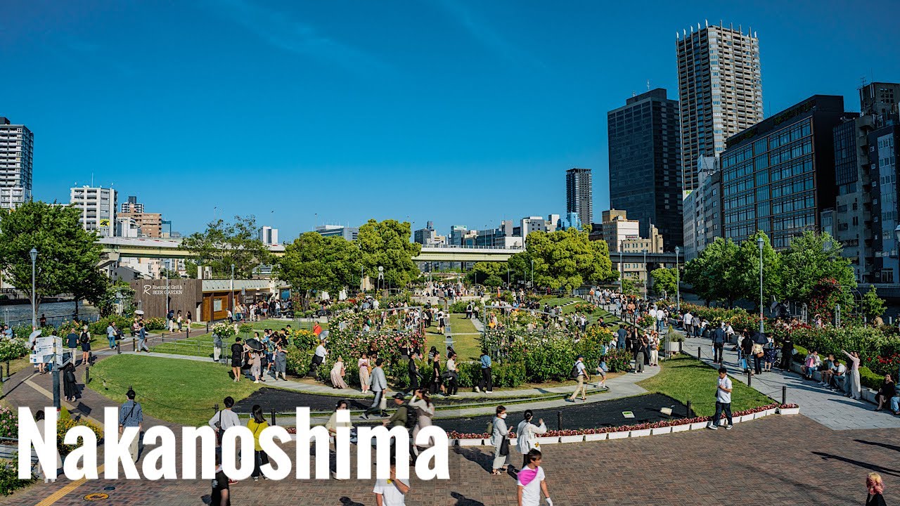 中之島公園 バラ園 2024 Osaka Walk - Nakanoshima Rose Garden 4K HDR