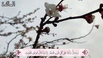 سورة المائدة  أرکان سلمان- اية 21#أرکان_سلمان#آل_عمران