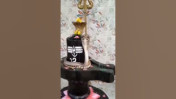 जब नाग सांप चढा शिवलिंग पर Cobra Snake on Shivling